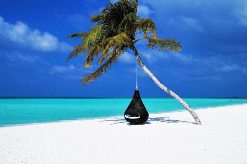 Paradicsom a pálmák alatt: érintetlen szépséggel várnak a Maldív-szigetek